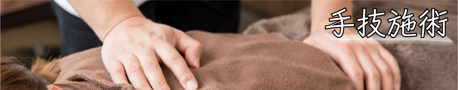 ��Z�{�p_�������萮���@